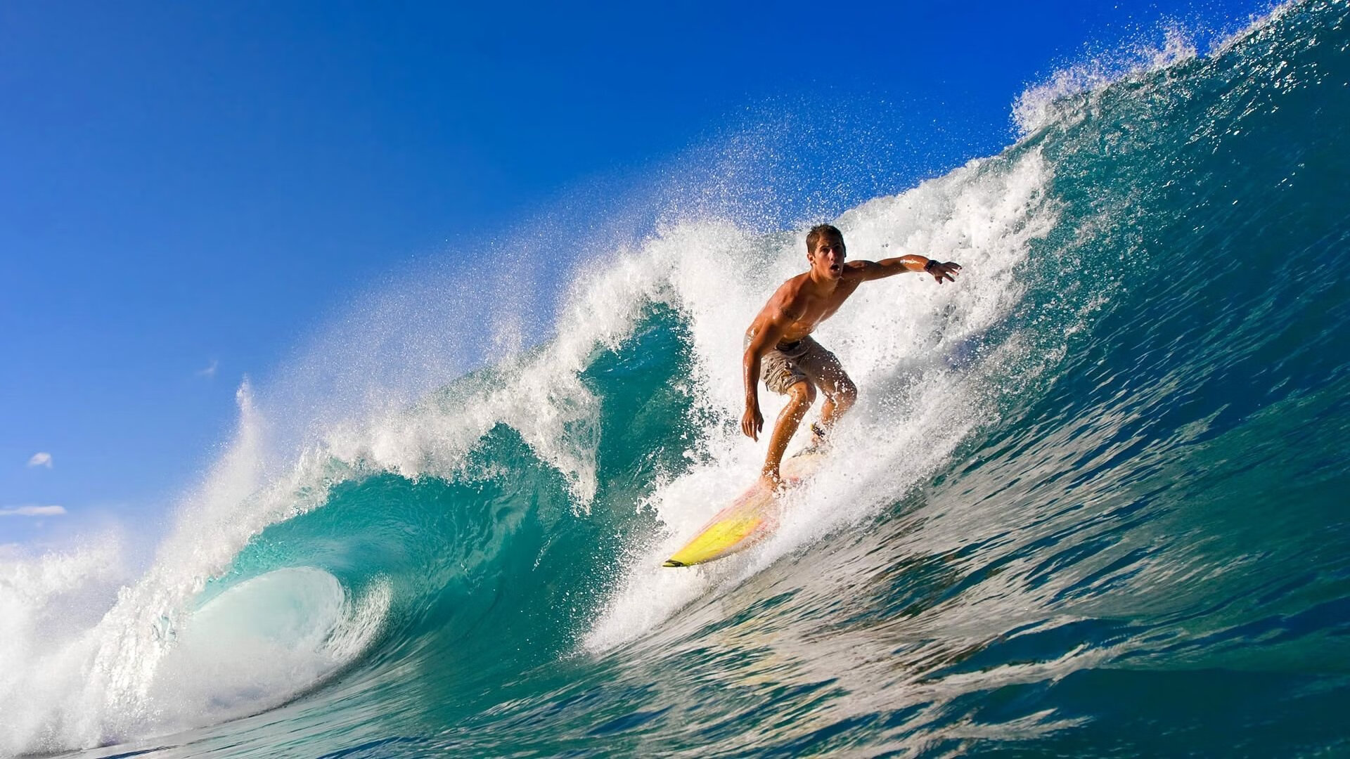 冬奥唯一队伍用奶酪做能量补给：瑞士，瑞士奶酪原则